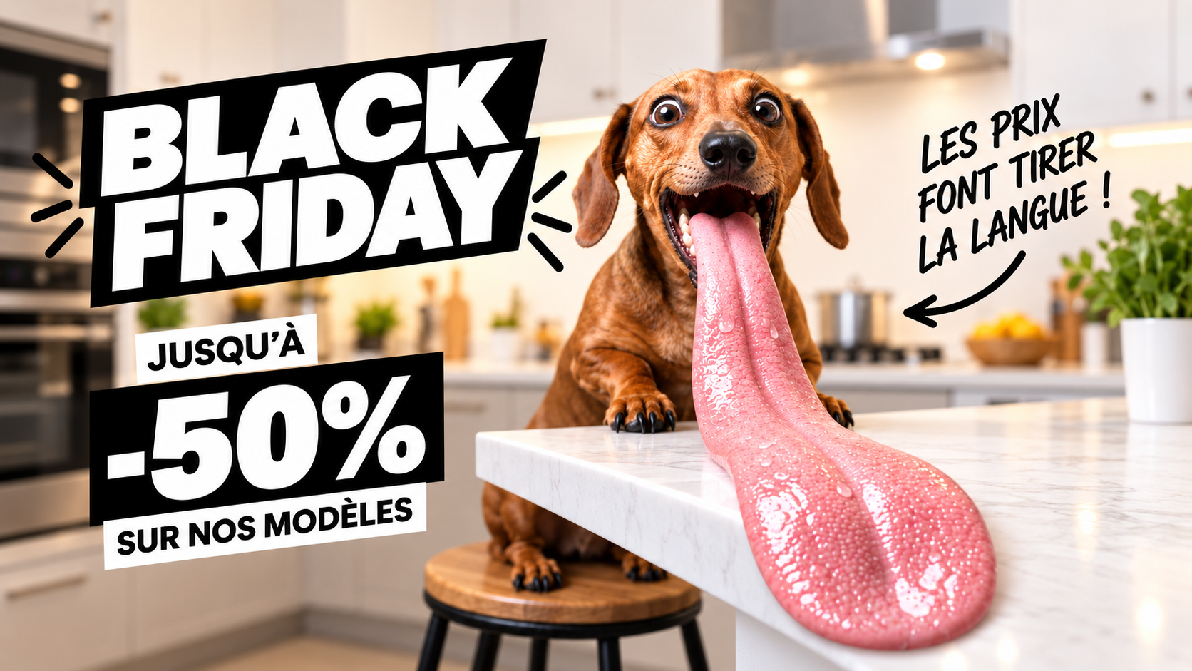 BLACK FRIDAY - Les prix font tirer la langue
